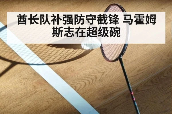 酋长队补强防守截锋 马霍姆斯志在超级碗