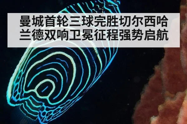 曼城首轮三球完胜切尔西哈兰德双响卫冕征程强势启航